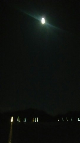 bvpsgia4ckud89snamge_518_920-e5b20092.jpg
