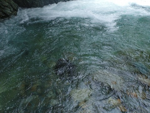 bvvhijcu39z9i9sfh2t8_480_480-09840723.jpg