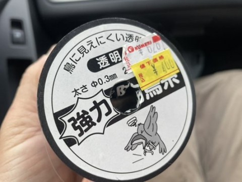 bwayxyjpwu299ty6tkkn_480_361-80a78f6d.jpg