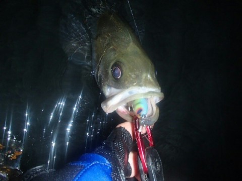 bwd5ho2x8o6w8f8cyxs8_640_480-53d0e2a5.jpg