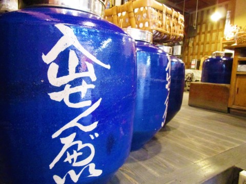bwkzyj7s63d8227ojjuu_480_480-87eb292d.jpg