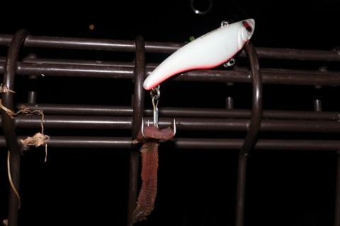 bwpcjxtdipceju443sra_480_480-45b8b73b.jpg