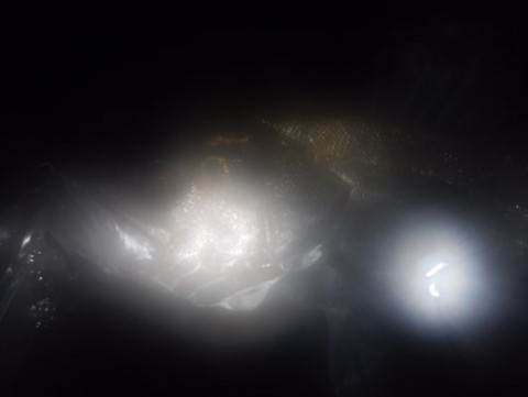 bwuywhxzojpm4n7cmezx_480_361-bbc26898.jpg