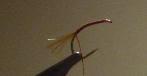 bx9jdak99gbnu7vu6yh2_480_480-1f585d95.jpg