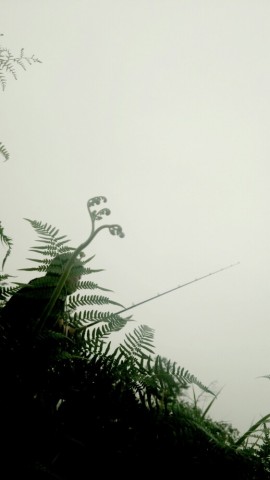 bxgbhpopai2fbj3bdpxj_518_920-5eefb4f1.jpg