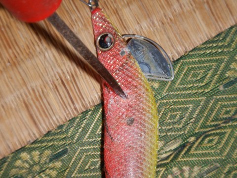 bxxbdraoiuhjmo7eryz5_480_480-310d2580.jpg