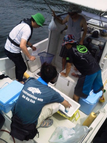 bxyiixgbvaf5d7u9o8wj_480_480-341e0034.jpg