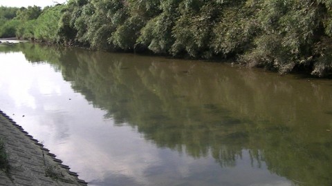 by72ci6ngfkuoz7ombig_480_480-da308b7f.jpg