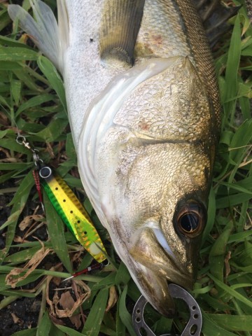 byppbz65rod9ccm7zewc_690_920-27dfd0ed.jpg