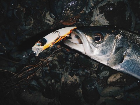 byuzeudsg9wwdysxsmi7_480_360-26542227.jpg
