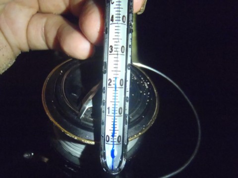 bz3arm96dwub5p725bep_480_480-474d1cf4.jpg
