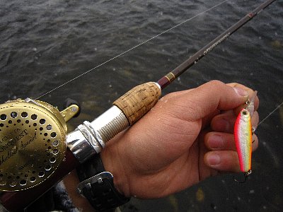 bza53zt5dph5z5ffbnm2-e680d531.jpg