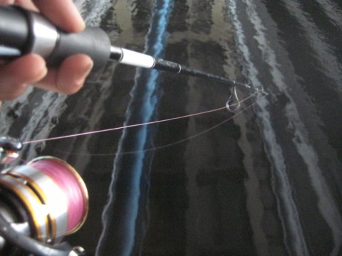 bzdam3ykmvt3w23fidwc_480_480-02939ae3.jpg