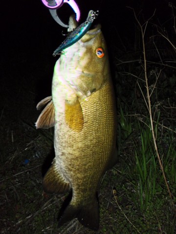 bzf58ozbrnwfraohu8ft_480_480-eade323f.jpg