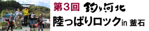 bzhnhrfspc2td7r7cds7_700_148-49588891.jpg