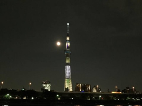 bzmhsew8ykxi4g8o372f_480_480-efdfa0f3.jpg