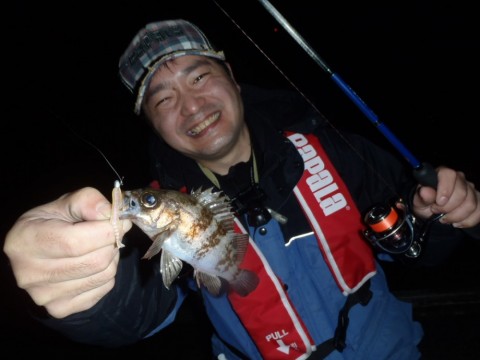 bznuadbjkcpnk6huzi8n_480_480-78910d6c.jpg