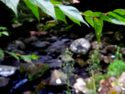 bzsywkvnu8owuwfw9nc2_640_480-f490d453.jpg