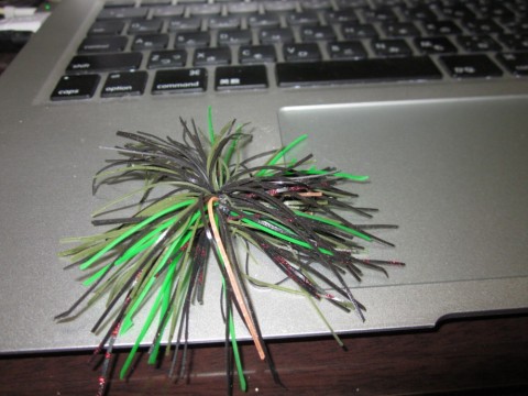 c262umv7yz42i3gipejs_480_480-e06fdb40.jpg