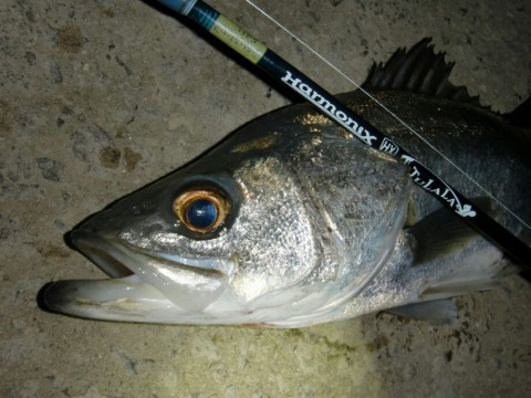 c2cyyjpkoi9ohubhdnyw_920_690-eb562e43.jpg