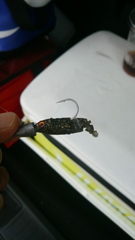 c2rat97kazdf8ic5mvof_518_920-bf8e5665.jpg