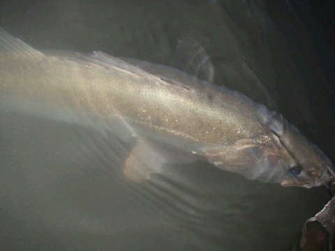 c2vv5ccnyerk2hg576sj_920_690-2f0097c4.jpg