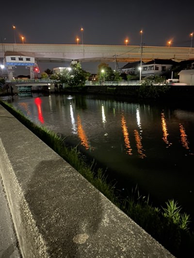 えびちゃんの 東京爆釣族 花畑運河