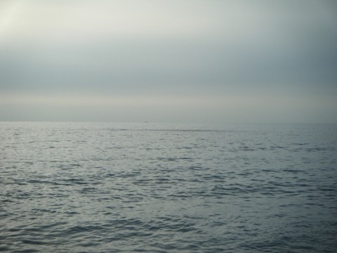 c38tsfaz5dhddv2njgdz_480_480-1d0ad9cf.jpg