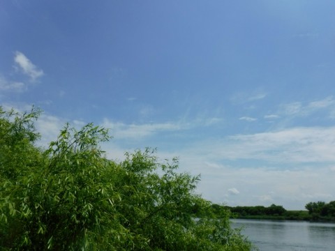 c3kjaitw3b8yrcm8oimu_480_480-b14246d9.jpg