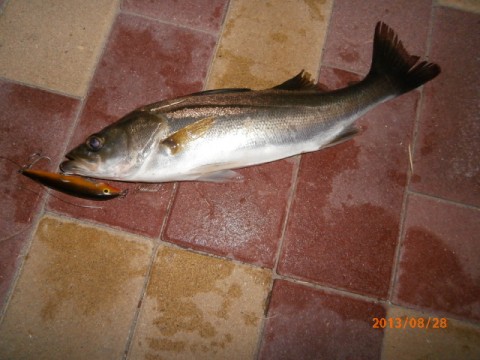 c487coz66zstxpvwrhgw_480_480-6bfbe0f8.jpg