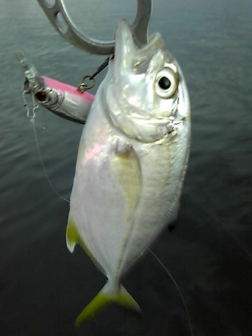 c49iddxsnaez75f62pt6-9692efc3.jpg
