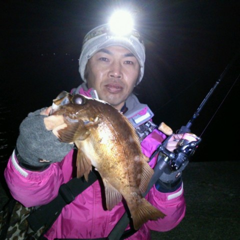c4i3tzx88ybmksasio9h_480_480-a2686313.jpg