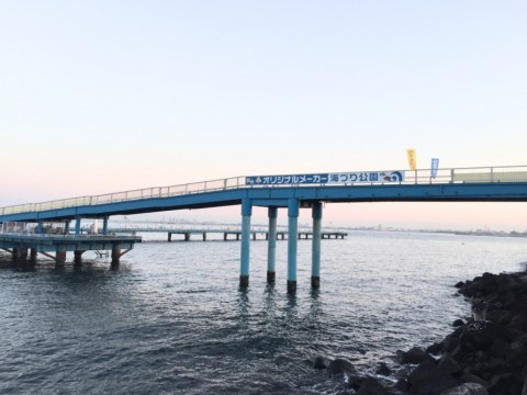 c4kzbkjyoadbaxywru86_480_480-56ed7b7c.jpg