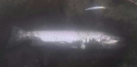 c4o567u56mzrptuthifa_920_453-d6ac84f3.jpg