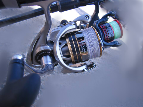 c564pw7axx7fpv3jxow6-874e4a29.jpg
