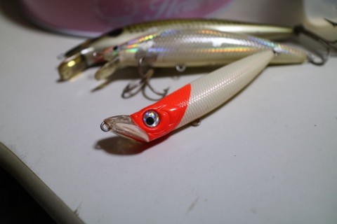 c5axghfuko48xs56ixs8_480_480-aa03eb5d.jpg