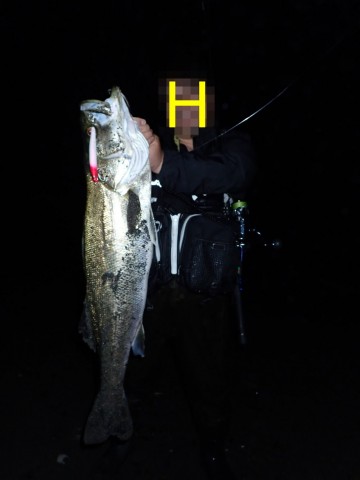 c5bz4z26thw6ovab56m8_480_480-1c9651c1.jpg