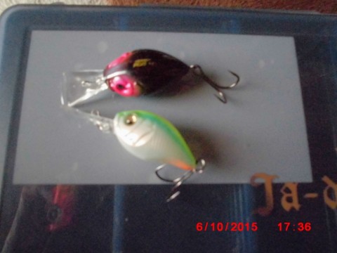 c5p2rr8nksv6pt2ibpxu_480_480-3d9d5318.jpg