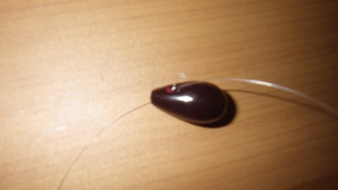 c5pszpja366cexan4otv_480_480-1185092f.jpg