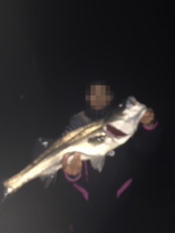c5srpbjtdyojyvg3r2hc_690_920-80384843.jpg