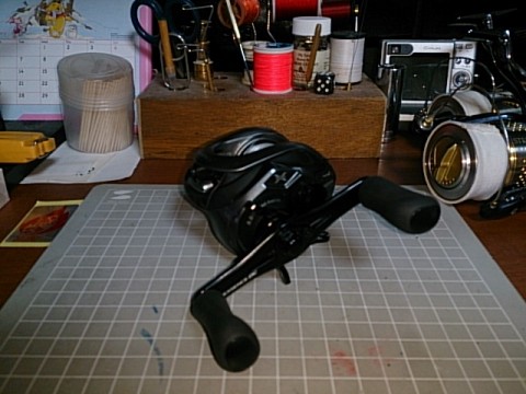 c6zhvenfpiusui7diezh_480_480-032a6c20.jpg
