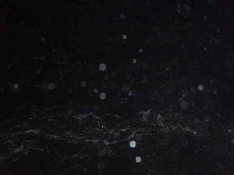 c72yfyv7wkp7stmsnoop_480_480-4f7f0c87.jpg