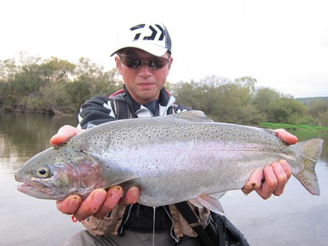 c7SgpWmvzivEunUCK7Jk_480_480-d05495b2.jpg