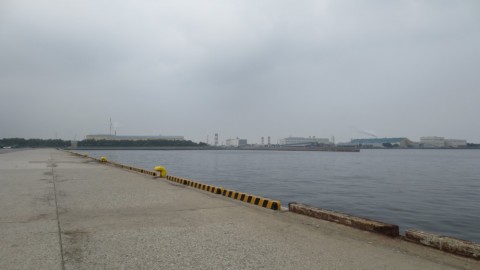c7brgskyuvv6zkjapdw8_480_480-09e36a21.jpg