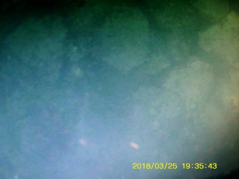 c7dfsr46okzp3n5xbzzc_480_480-bc158517.jpg