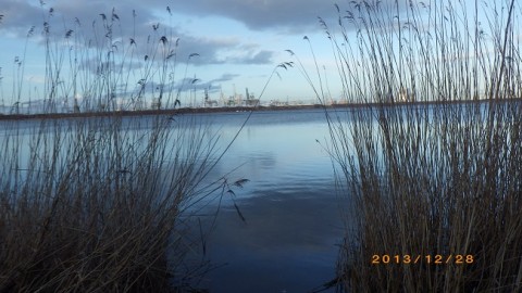 c7h6jeo8motvp2ybbv5s_480_480-41f07fc2.jpg