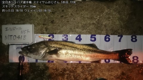 c7o5266ks2jp627vuk9t_480_480-d502b8e9.jpg
