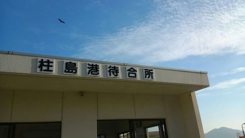 c85h9hhamwbi8ohm8v7h_480_480-85b3d8eb.jpg