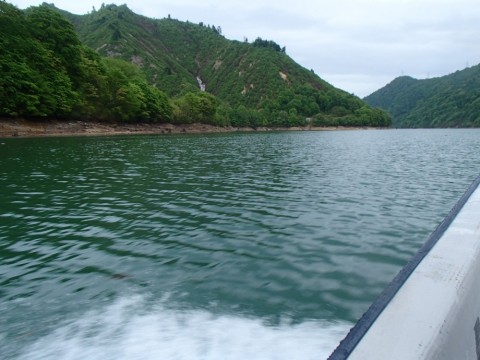 c868duuxvwza77kdjjh9_480_480-50e122ff.jpg