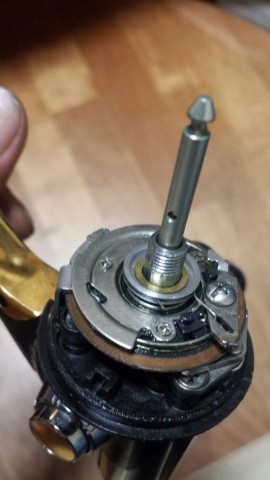 c878tucrs9gc35po3tum_480_480-ab771dc0.jpg
